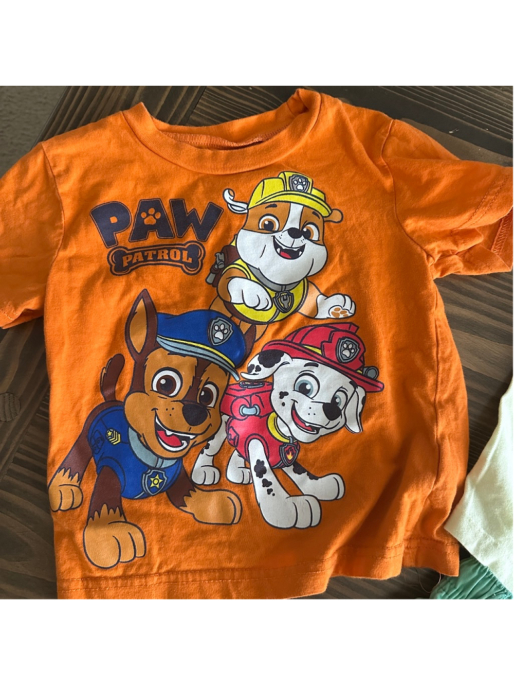 Boys Clothing Lot 2T Bluey Paw Patrol Champion Shirts Shorts 7 Pc - Picture 8 of 16